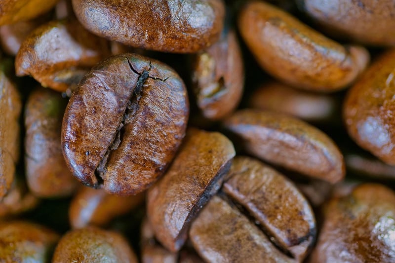 Legumes